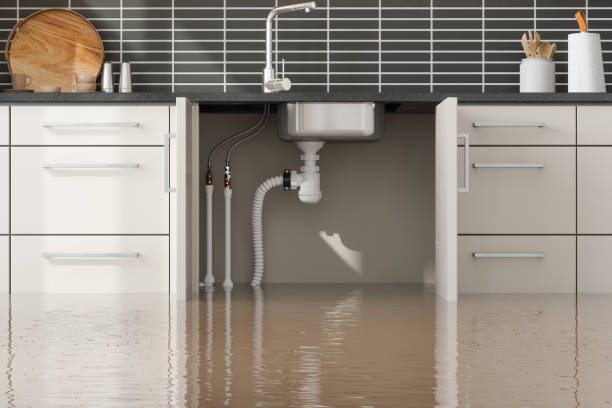 Trusted Water Damage Restoration in White Sands, NM | Fast, Reliable, and Ready to Assist You